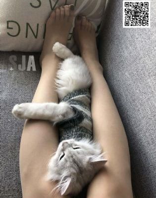 今夜不设防国语版_剧情片免费高清观看